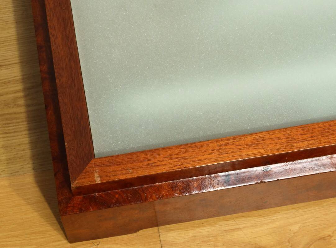 Display Cabinet in Brass and Elm – 1950