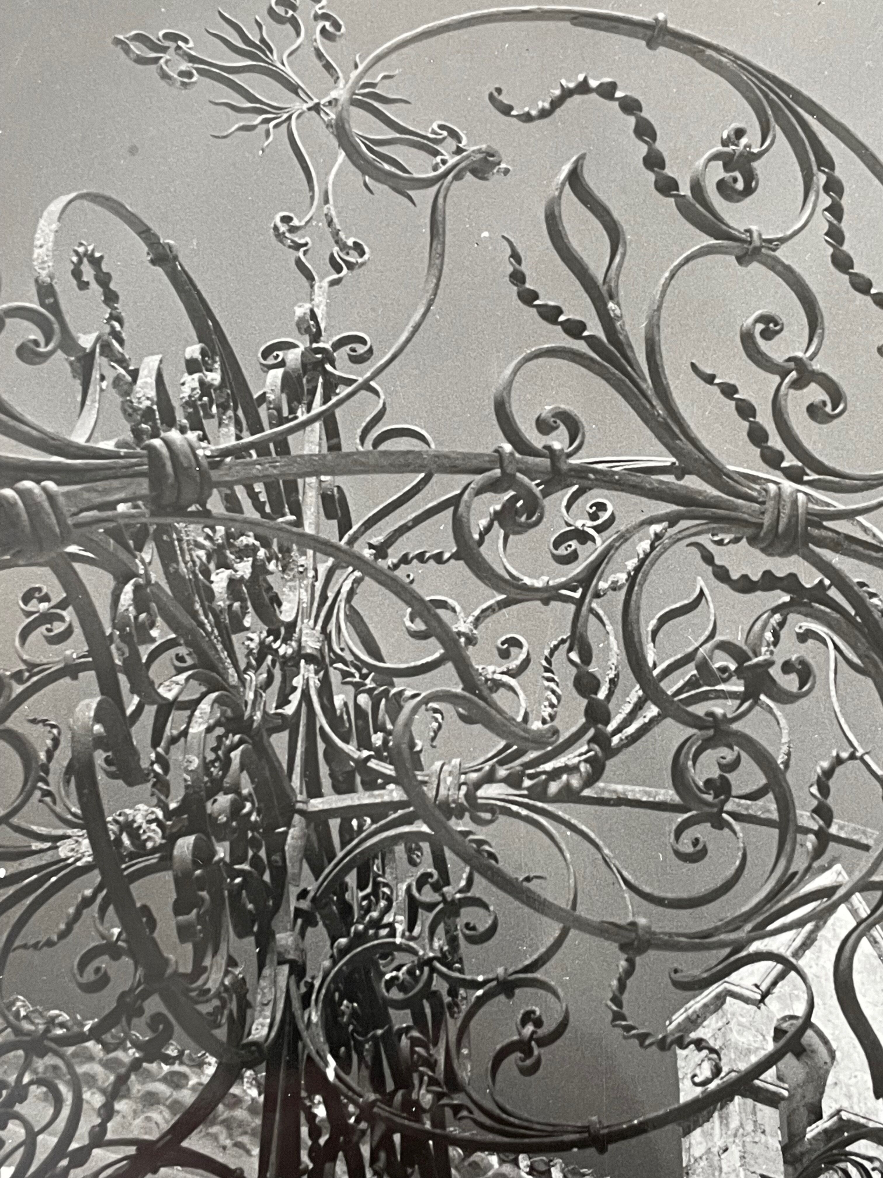 Black and white silver photography early twentieth century