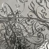 Black and white silver photography early twentieth century