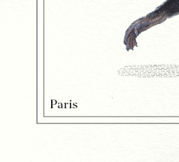 Set of 2 framed chimera lithography animal engraving