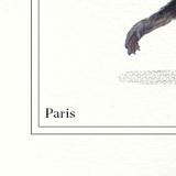 Set of 2 framed chimera lithography animal engraving