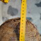 Braided raffia lampshade - Vintage authentic 70s