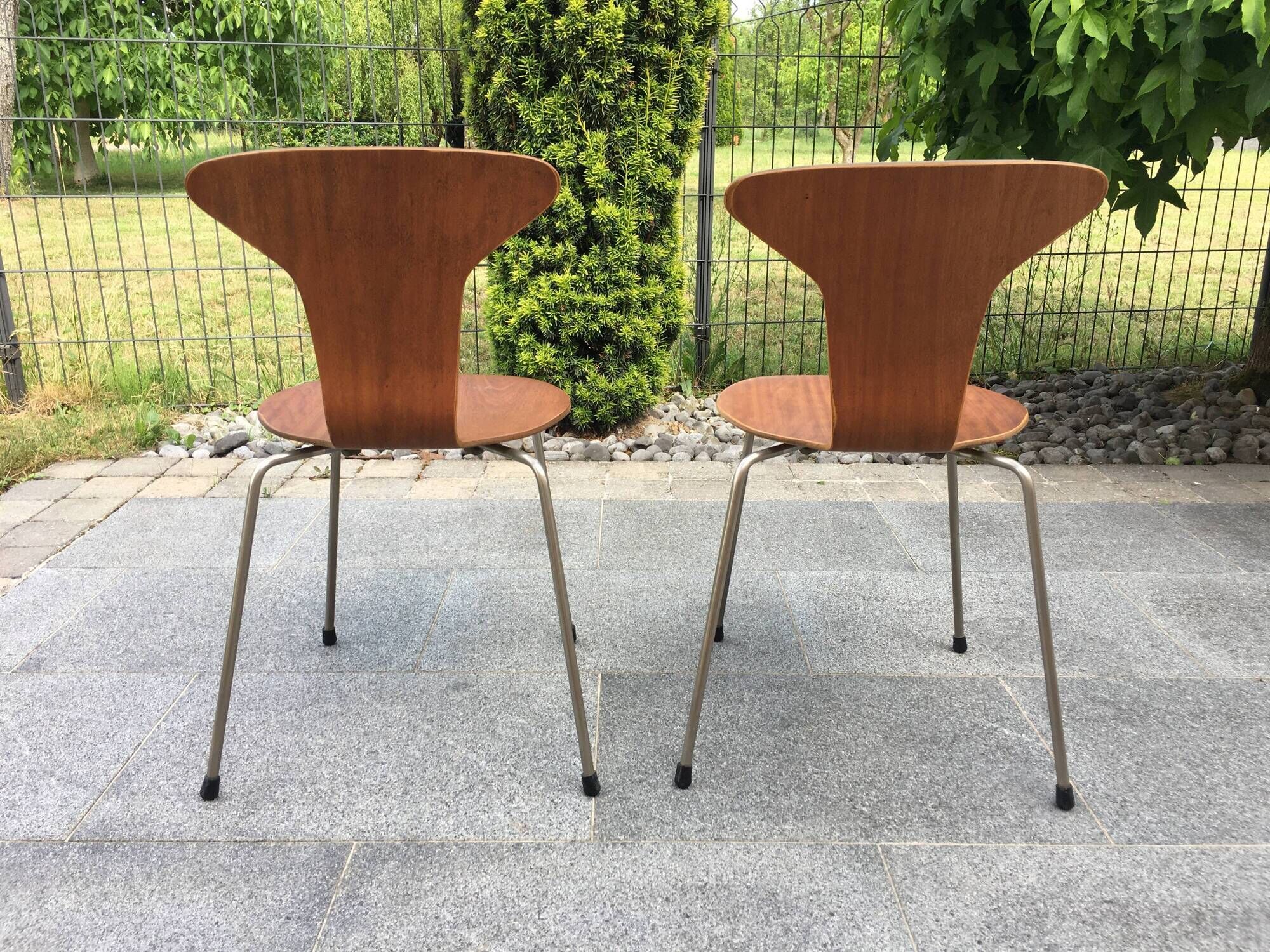 Set of 2 chairs 3105 Mosquito by Arne Jacobsen for Fritz Hansen 50s