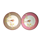 Beautiful batch of two pip home plates