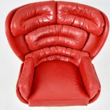 Elda armchair by Joe Colombo for Comfort Italy, 1960s
