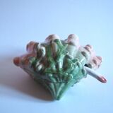 Saucière seashell in dabbling