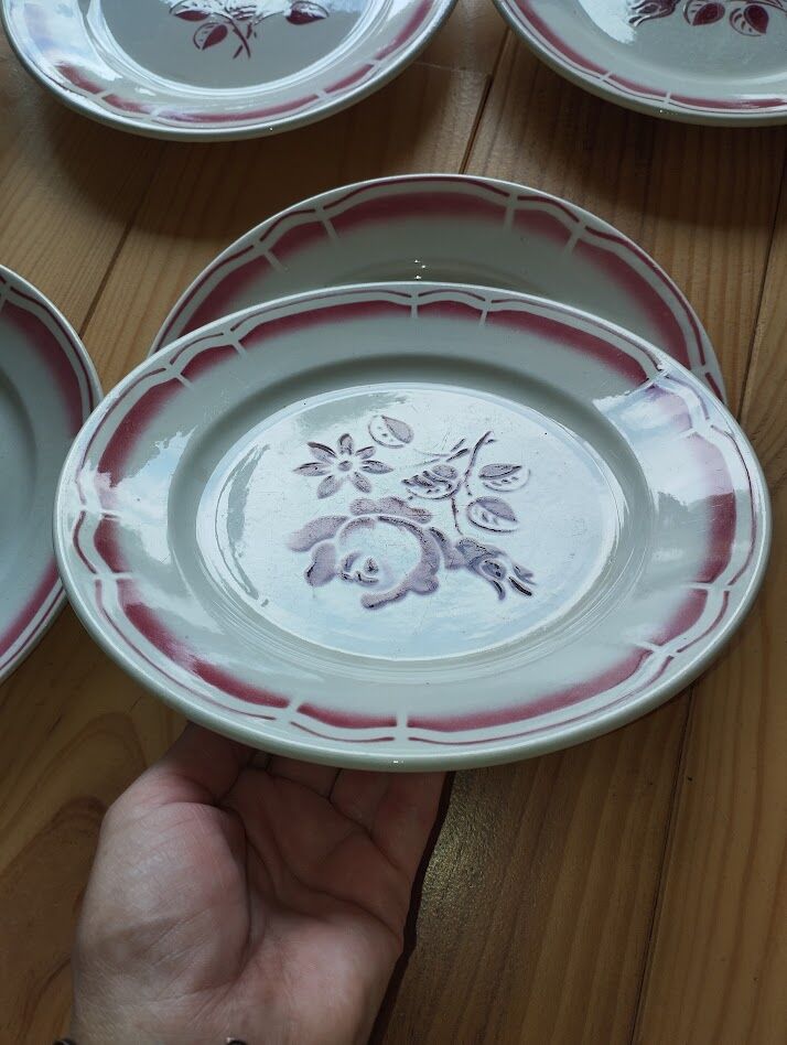 Set of 6 antique Badonviller flat plates in decorated earthenware.