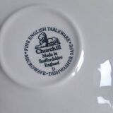Churchill "Rosetta" English teacup