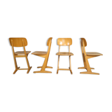 Chair "cassala" adult model