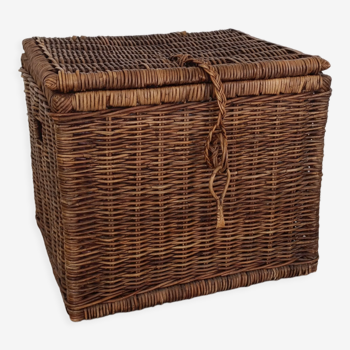 Wicker trunk