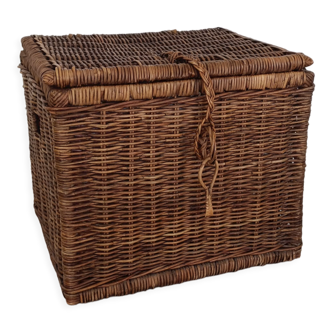 Wicker trunk