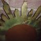 Golden witch sun mirror 70s / 58 cm