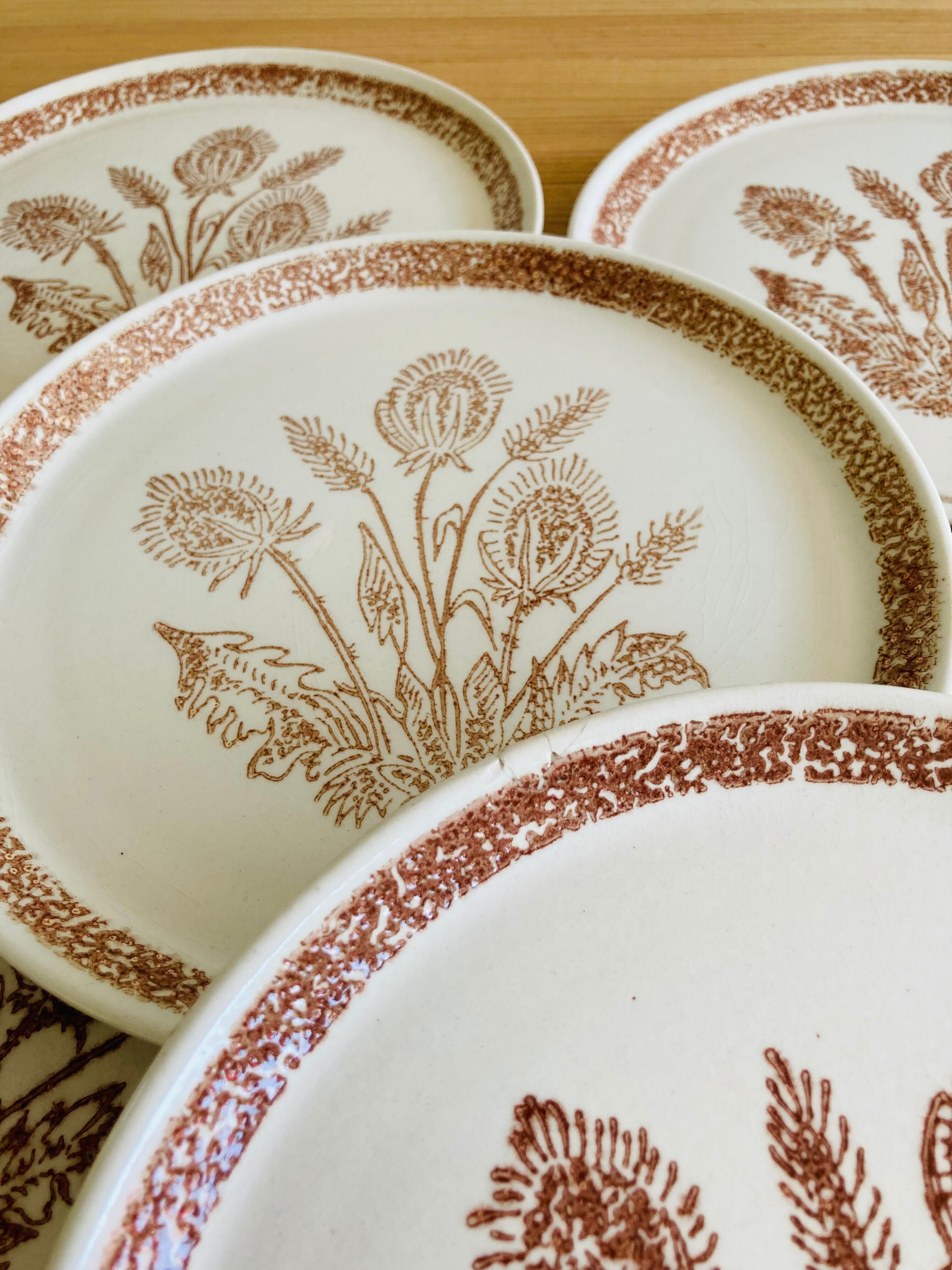 9 dessert plates herbarium thistles