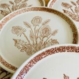 9 dessert plates herbarium thistles
