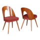 Set of Mid-Century Czech Chairs by Antonin Suman, 1950s