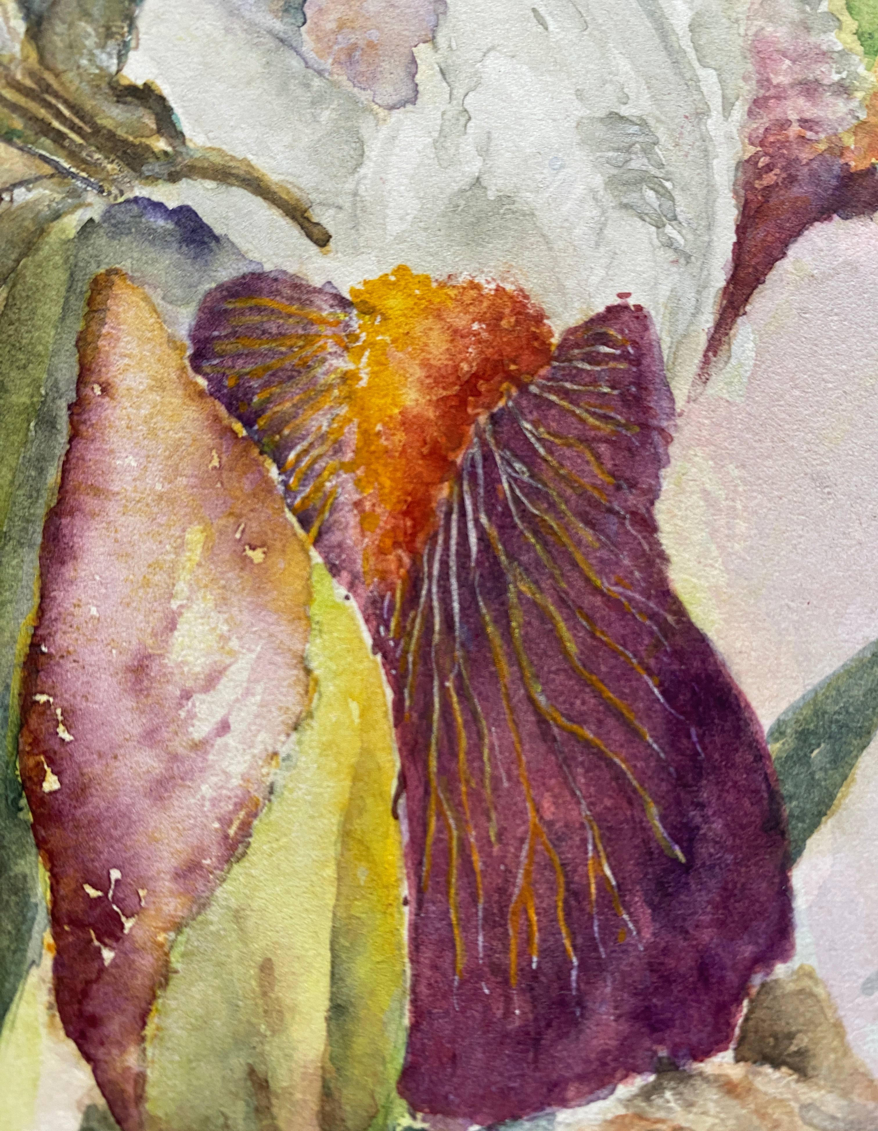 Tableau aquarelle naturaliste "Les Iris" signée B. Thierry 1995