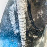 Vide poche marbre et orthoceras