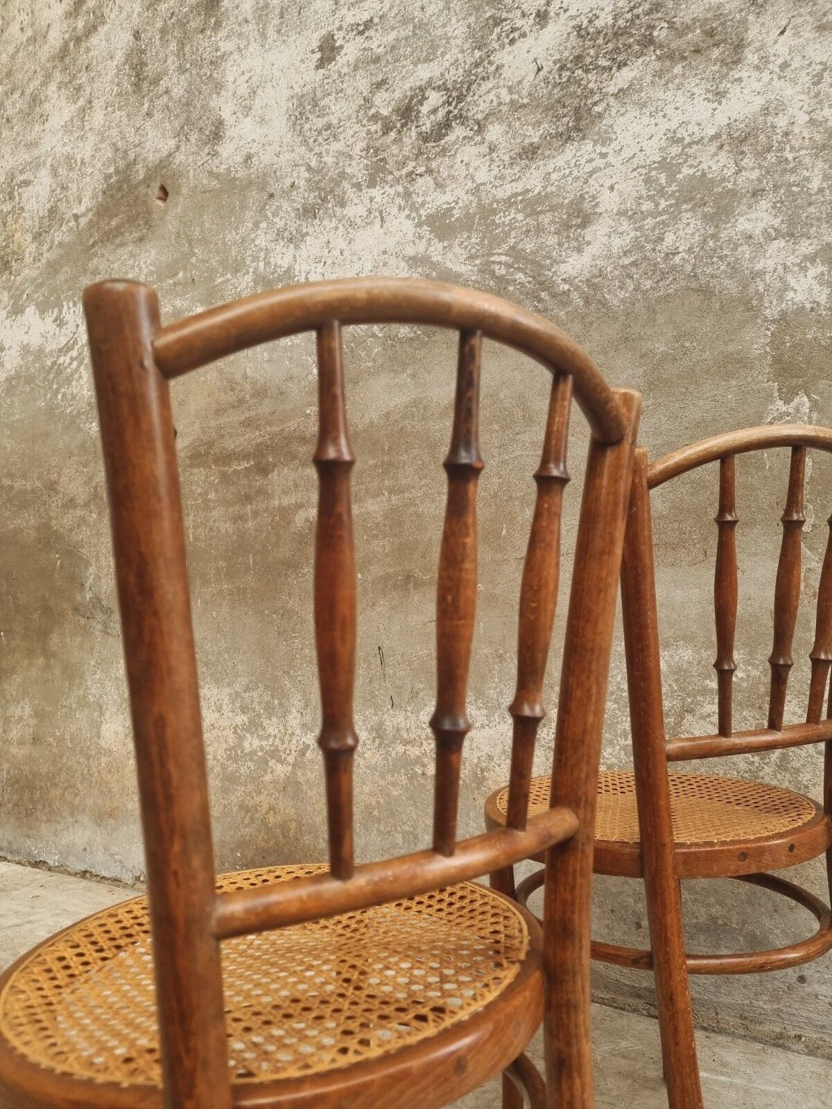 Antique chairs by Fischel