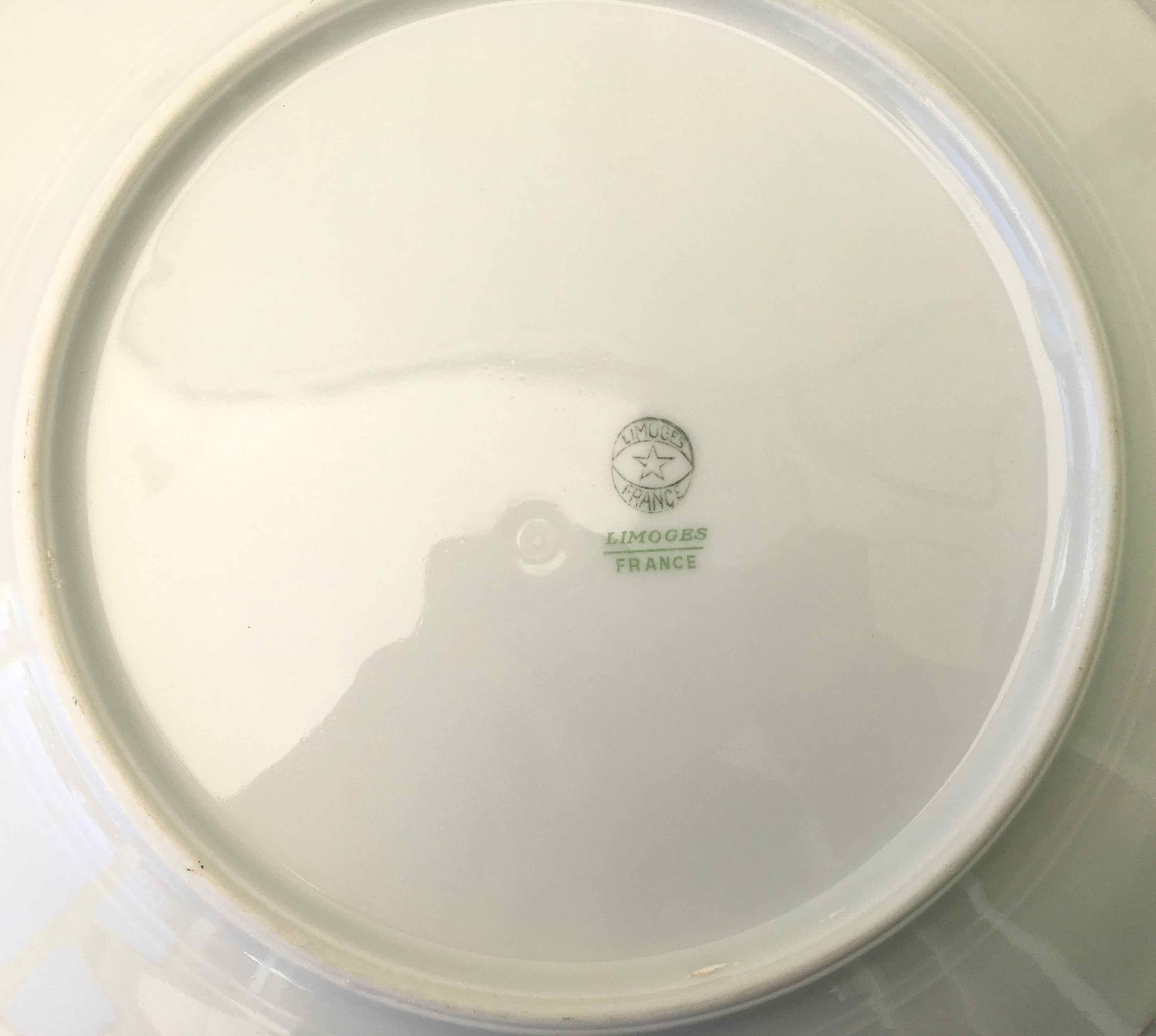 Set of 12 flat plates flowered porcelain