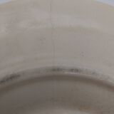 Slush snail plate