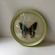 Butterfly bomb round frame