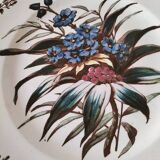 Sanejouand & Graves Clairefontaine plate, polychrome Tavia decoration