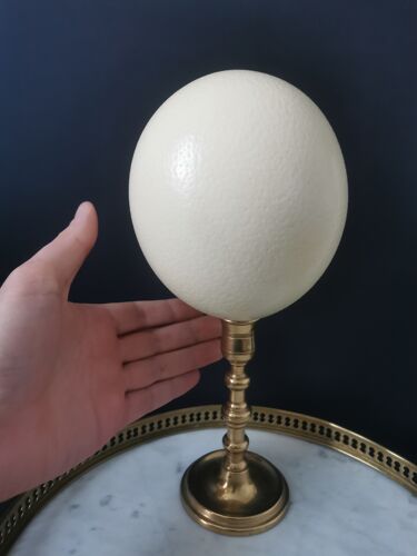 Ostrich egg, brass base early twentieth H27cm