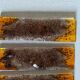 Set of 6 contemporary handcrafted glass paste knife holders