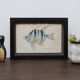 Lithography engraving vintage fish - 1850