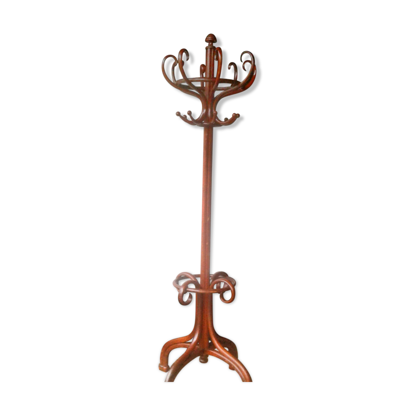 Thonet parrot coat holder, signed