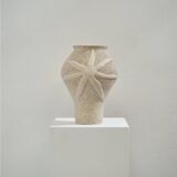 Vase etoile de mer