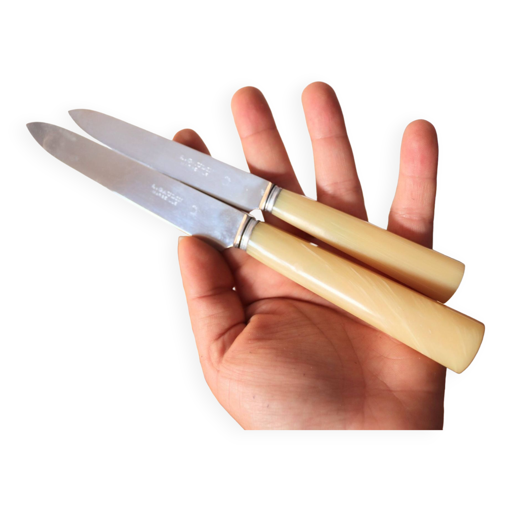 Box of 24 A. Gaudin Marseille knives