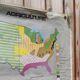 Carte scolaire représentant les Etats-Unis d'Amérique
