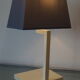 Lamp Phanera france 1970