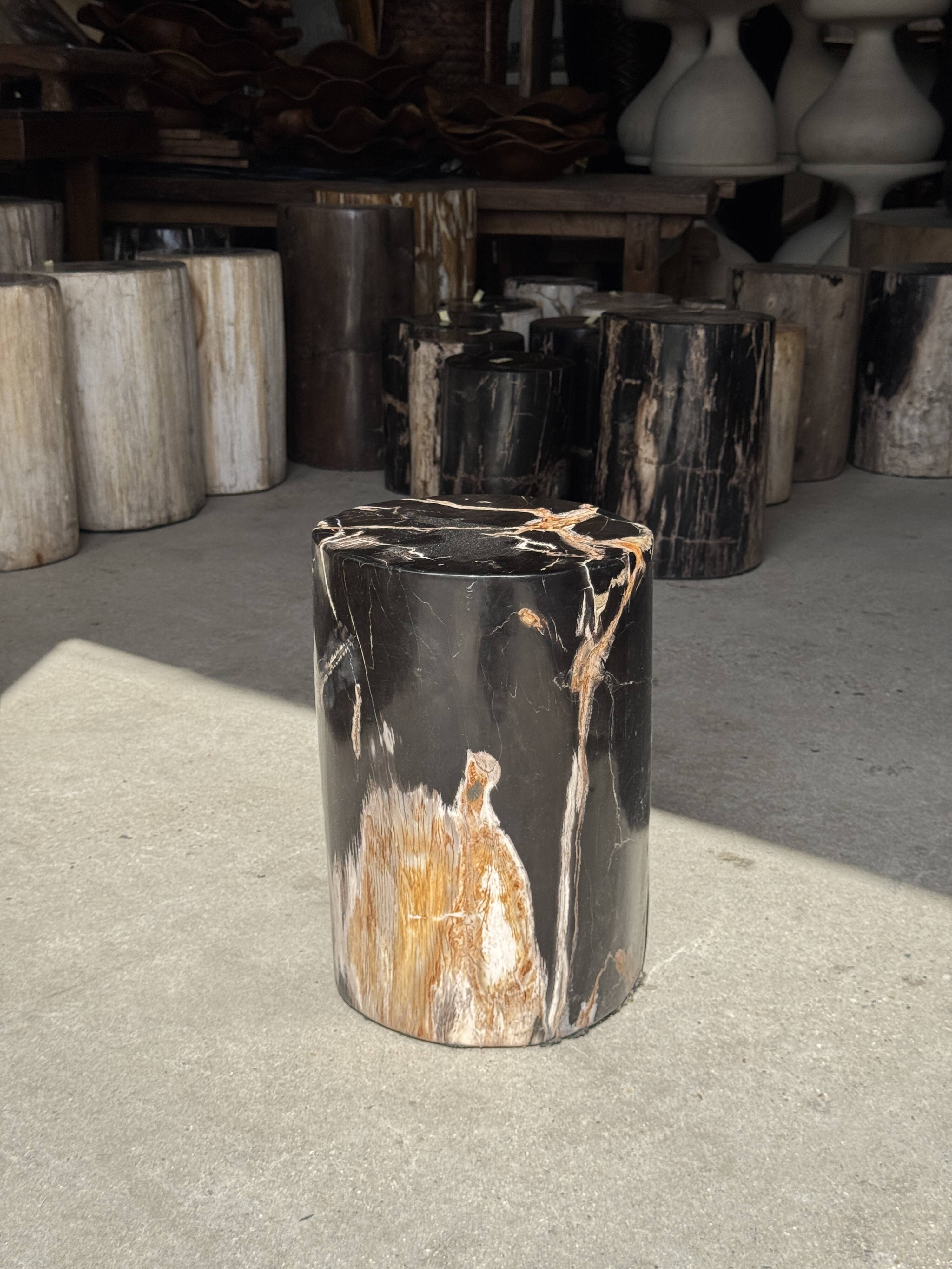 Black petrified wood side table with beige stripes, star pattern H35 D24.
