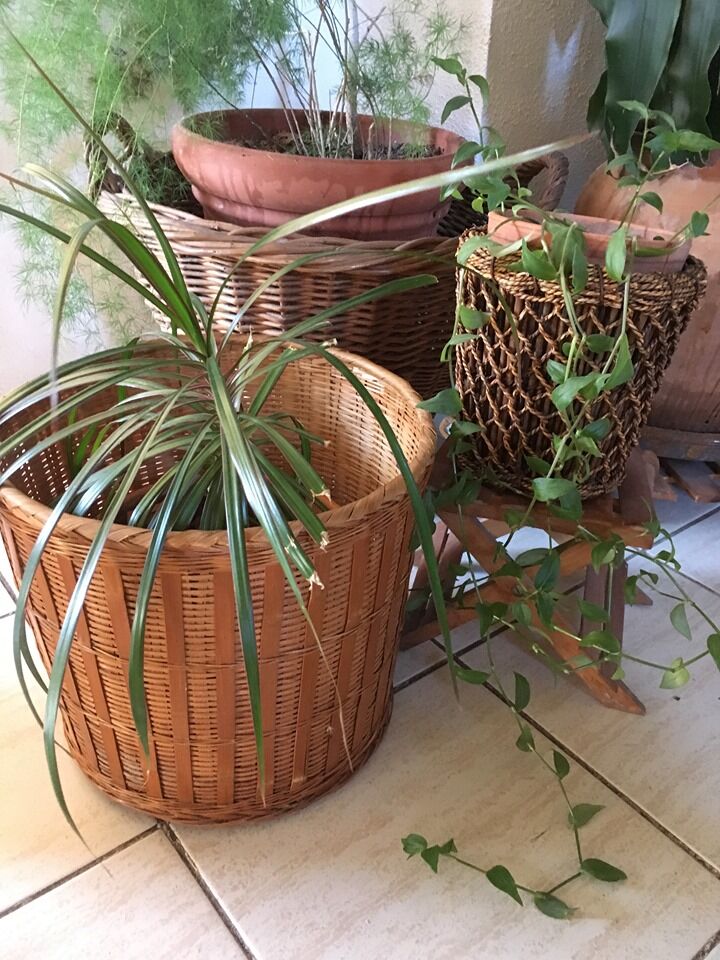 Two pot covers in Wicker, rope and wood.