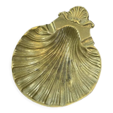 Empty pocket scallop shell