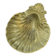 Empty pocket scallop shell