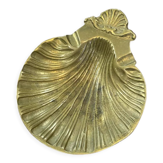 Empty pocket scallop shell