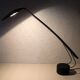 Dove desk lamp from Barbaglia and Colombo for PAF
