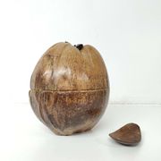 Seau à glaçons noix de coco vintage
