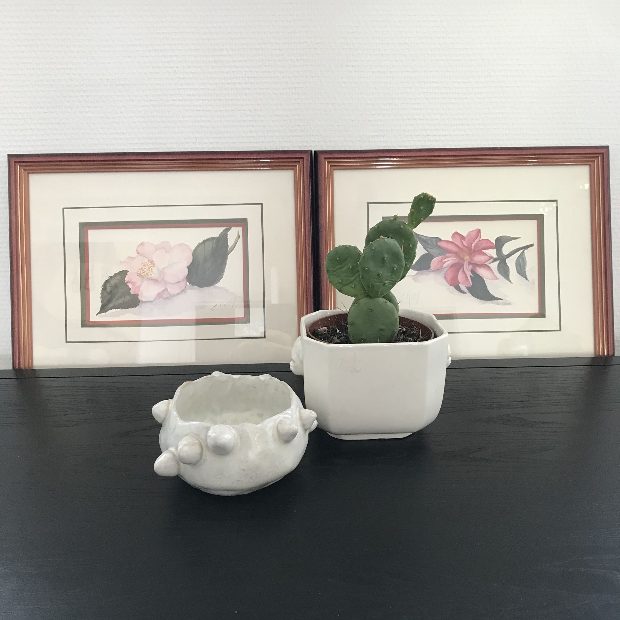 Aquarelle botanique originale et signée