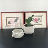 Original and signed botanical watercolor
