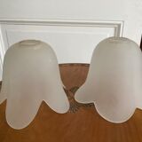Pair of lampshades