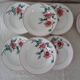 12 assiettes anciennes plate et creuse HBCM Creil Montereau Luxeuil œillets