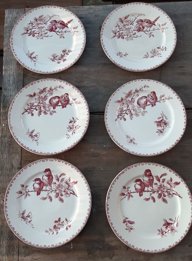 Set of 6 flat plates Sarreguemines Favorite