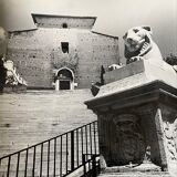 Photographie noir et blanc argentique début XXe