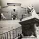 Black and white silver photography early twentieth century