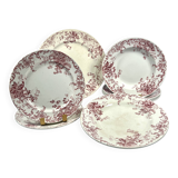 Ironstone Service - Saint Amand - Campanule