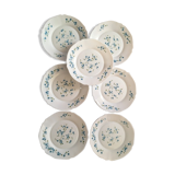 Flat plates myosotis veronica with small blue flowers